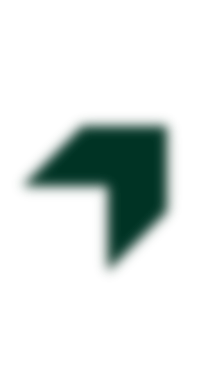 Pinelabs Logo